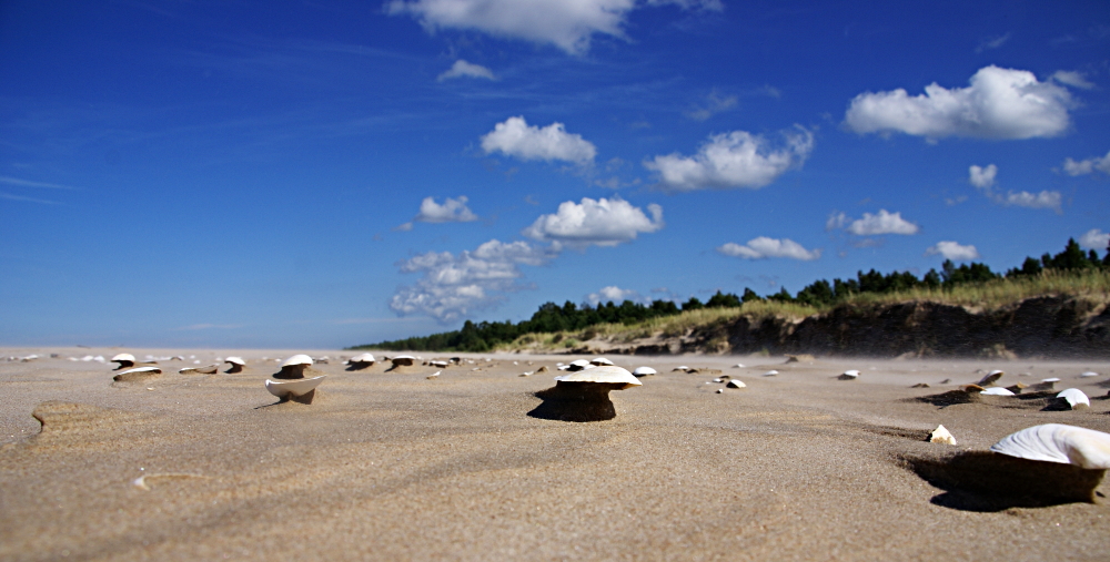 occupied beach
