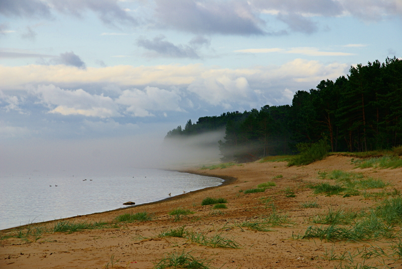 morning mist