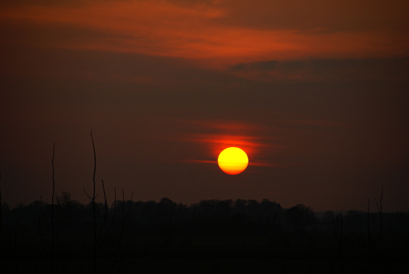 silent sunset