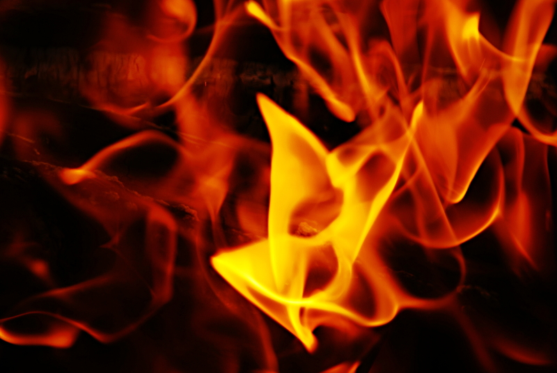 fireflower