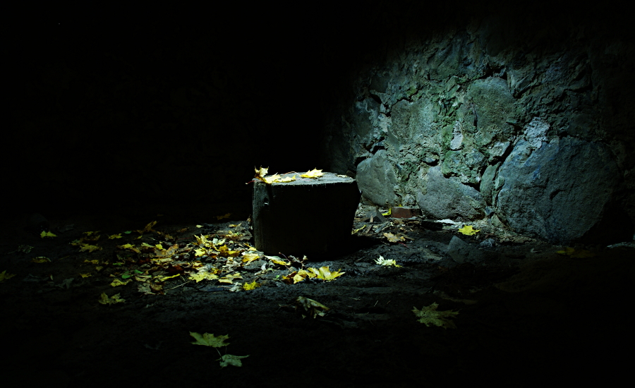 autumn