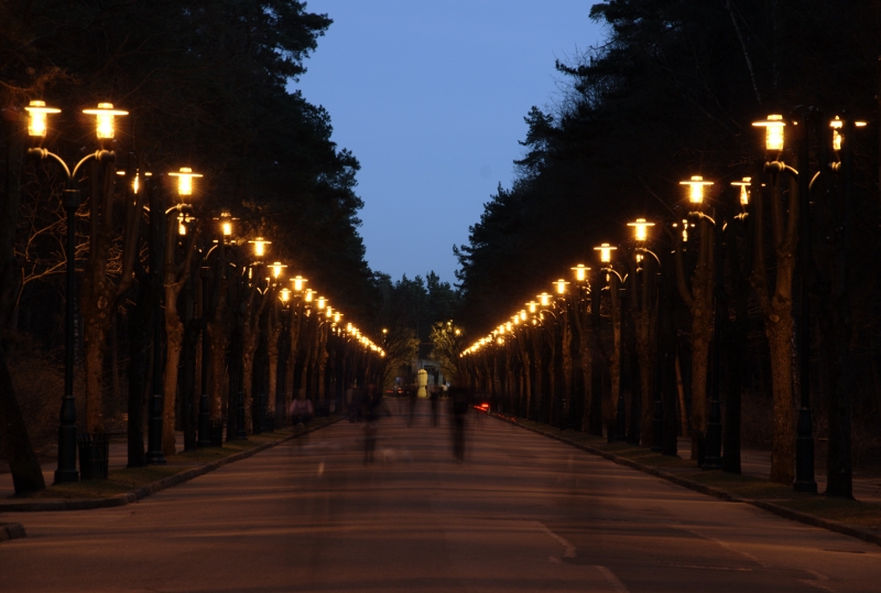 evening walk