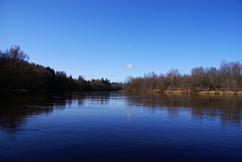 gauja