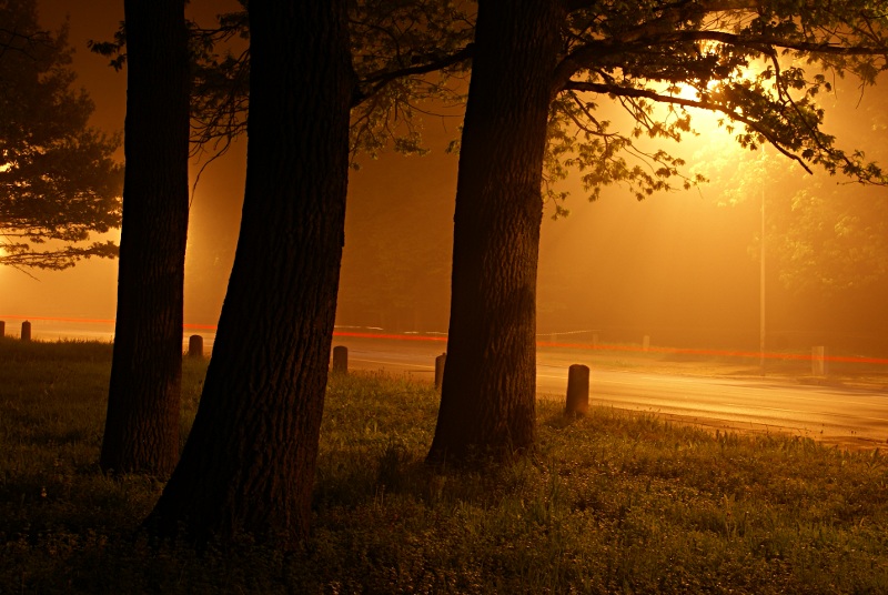 foggy night