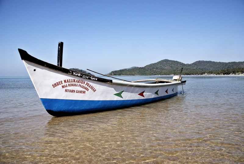 dolphin boat