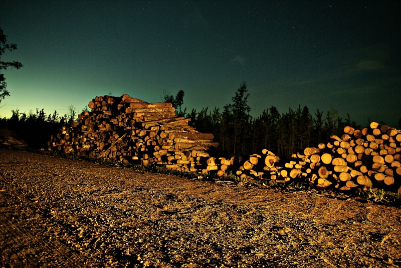 wood