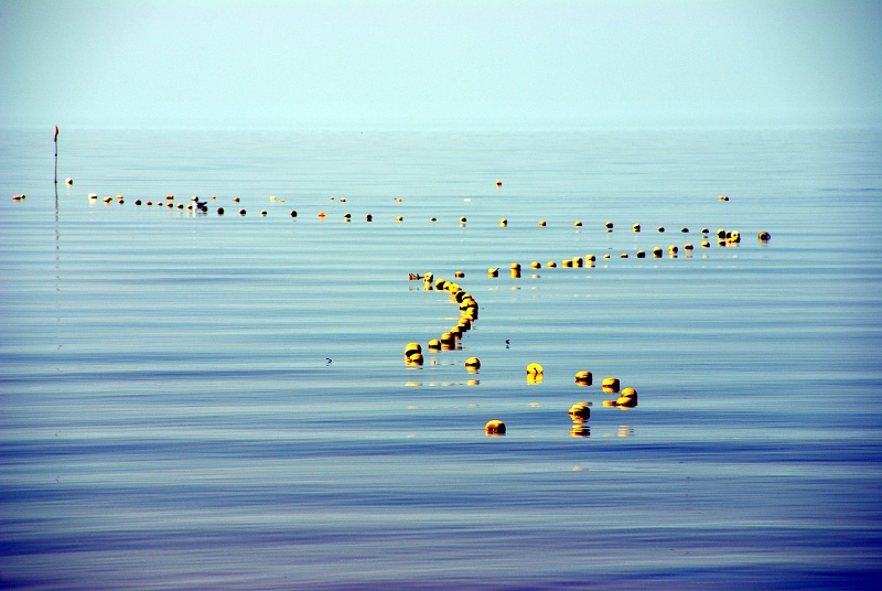 floating