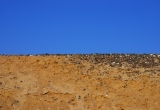 horizon
