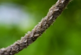 rope