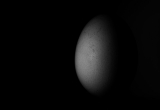 dark side of the egg