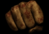 fighter