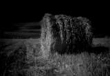 out of the dark