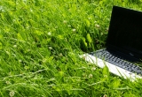 when technology meets nature