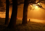 foggy night