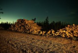 wood