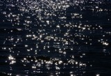 sparkly