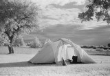 tent